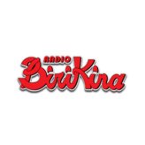 Birikina 91.3 FM